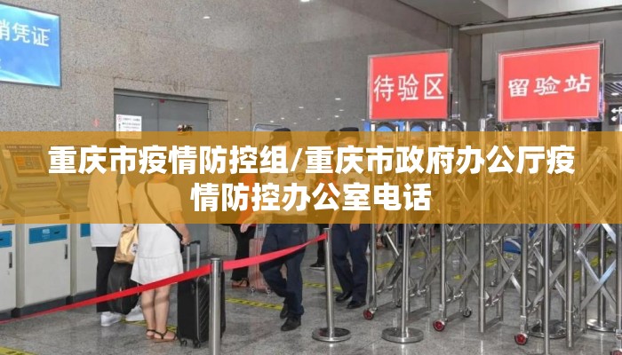 重庆市疫情防控组/重庆市政府办公厅疫情防控办公室电话