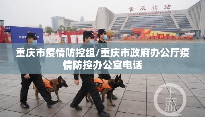 重庆市疫情防控组/重庆市政府办公厅疫情防控办公室电话
