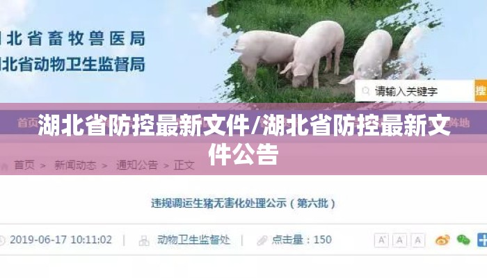 湖北省防控最新文件/湖北省防控最新文件公告