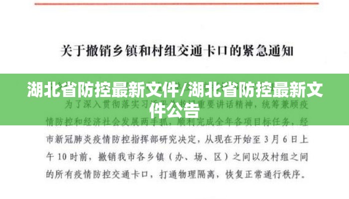 湖北省防控最新文件/湖北省防控最新文件公告