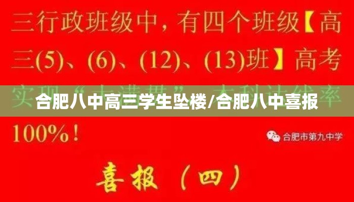合肥八中高三学生坠楼/合肥八中喜报