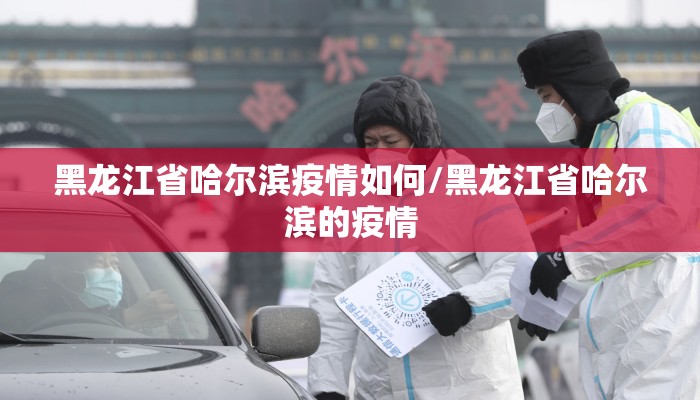 黑龙江省哈尔滨疫情如何/黑龙江省哈尔滨的疫情