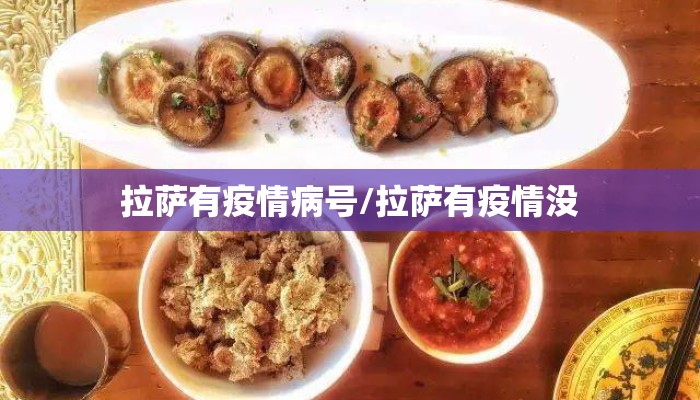 拉萨有疫情病号/拉萨有疫情没