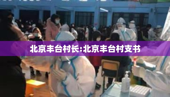 北京丰台村长:北京丰台村支书