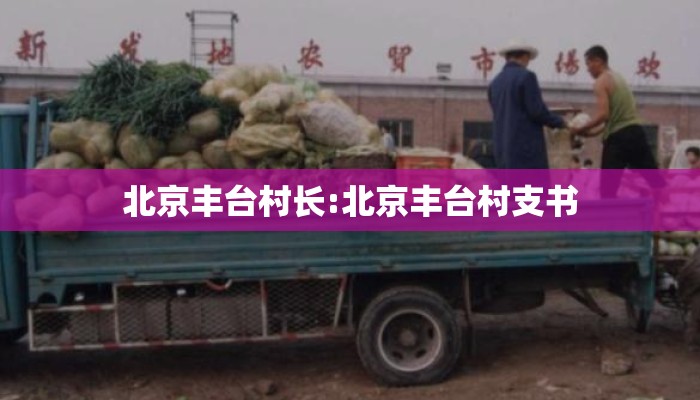 北京丰台村长:北京丰台村支书