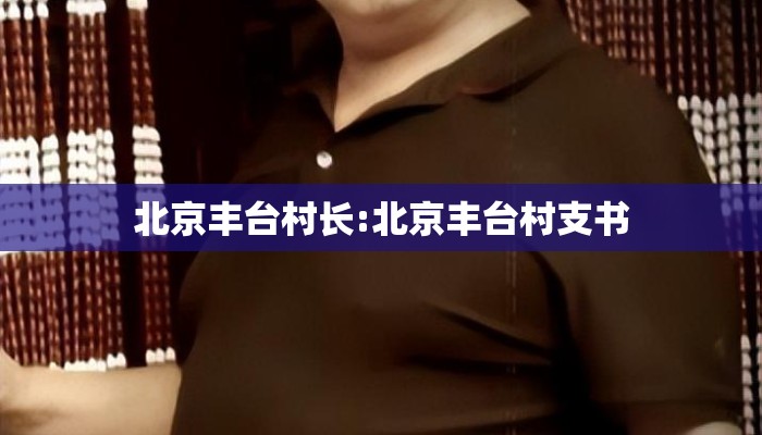 北京丰台村长:北京丰台村支书
