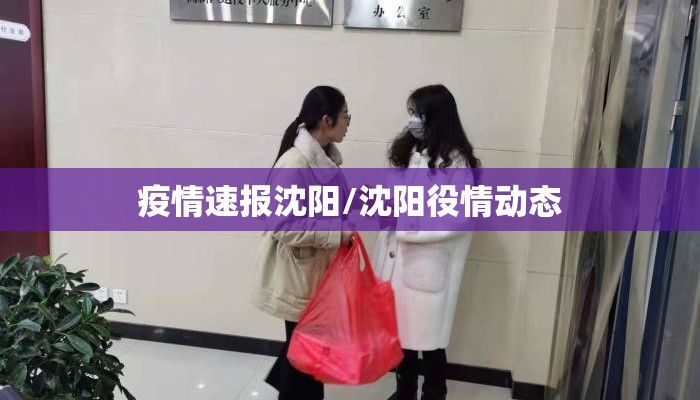 疫情速报沈阳/沈阳役情动态
