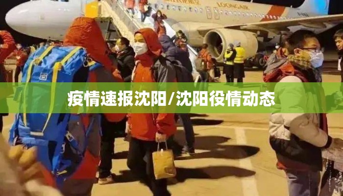 疫情速报沈阳/沈阳役情动态