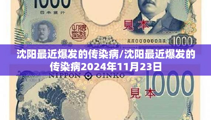 沈阳最近爆发的传染病/沈阳最近爆发的传染病2024年11月23日