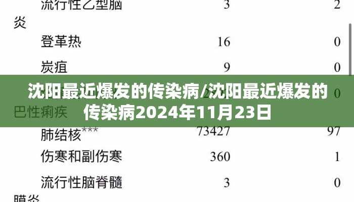 沈阳最近爆发的传染病/沈阳最近爆发的传染病2024年11月23日