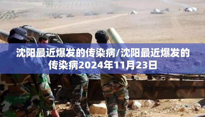 沈阳最近爆发的传染病/沈阳最近爆发的传染病2024年11月23日