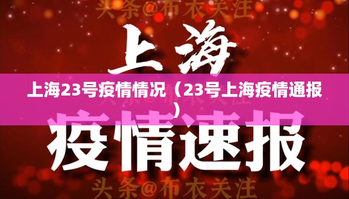 上海23号疫情情况（23号上海疫情通报）