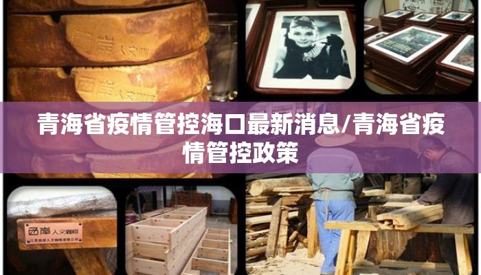 青海省疫情管控海口最新消息/青海省疫情管控政策
