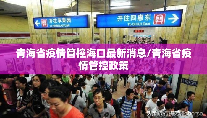 青海省疫情管控海口最新消息/青海省疫情管控政策