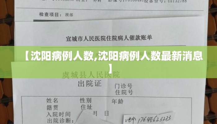【沈阳病例人数,沈阳病例人数最新消息】
