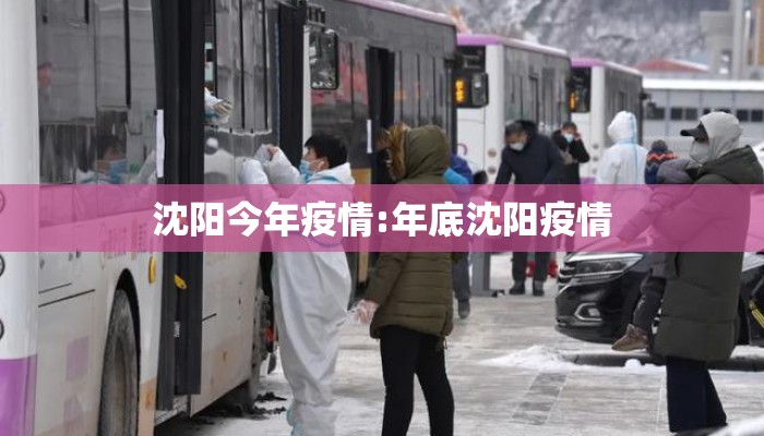 沈阳今年疫情:年底沈阳疫情