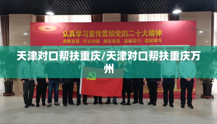 天津对口帮扶重庆/天津对口帮扶重庆万州