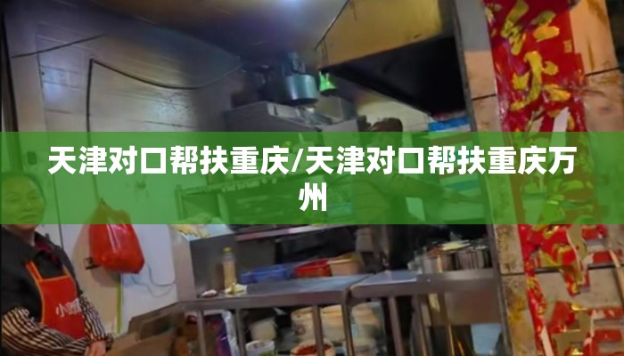 天津对口帮扶重庆/天津对口帮扶重庆万州