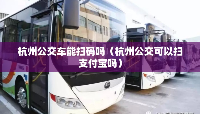 杭州公交车能扫码吗（杭州公交可以扫支付宝吗）