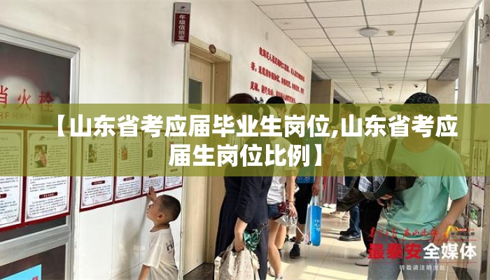 【山东省考应届毕业生岗位,山东省考应届生岗位比例】