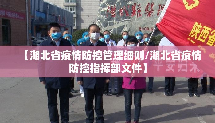 【湖北省疫情防控管理细则/湖北省疫情防控指挥部文件】