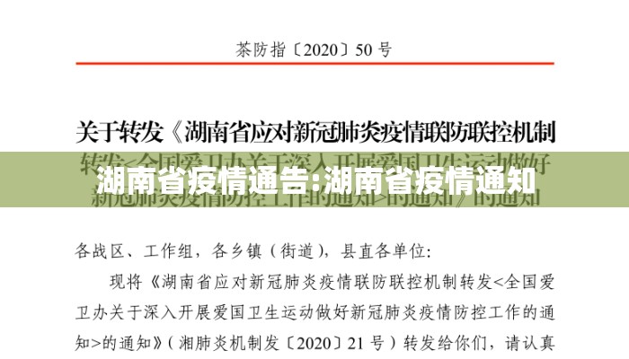 湖南省疫情通告:湖南省疫情通知