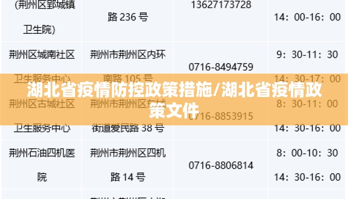 湖北省疫情防控政策措施/湖北省疫情政策文件