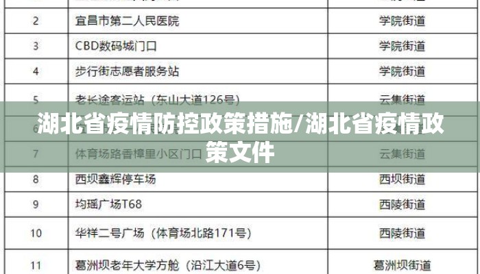 湖北省疫情防控政策措施/湖北省疫情政策文件