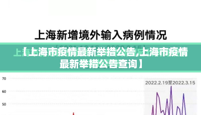 【上海市疫情最新举措公告,上海市疫情最新举措公告查询】