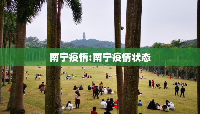 南宁疫惰:南宁疫情状态