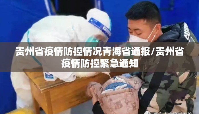 贵州省疫情防控情况青海省通报/贵州省疫情防控紧急通知