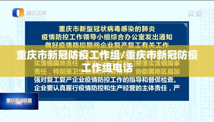 重庆市新冠防疫工作组/重庆市新冠防疫工作组电话