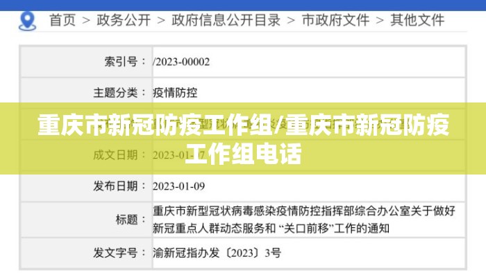重庆市新冠防疫工作组/重庆市新冠防疫工作组电话