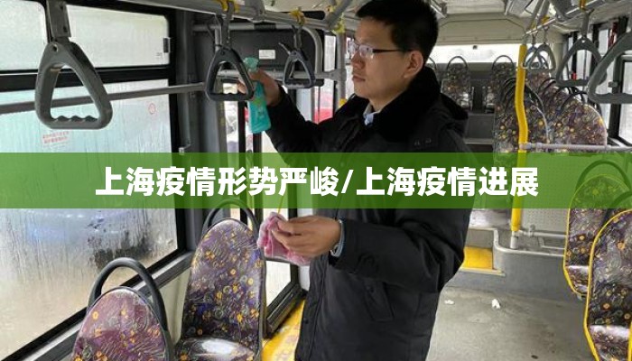 上海疫情形势严峻/上海疫情进展