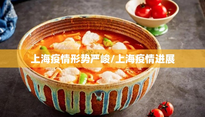 上海疫情形势严峻/上海疫情进展