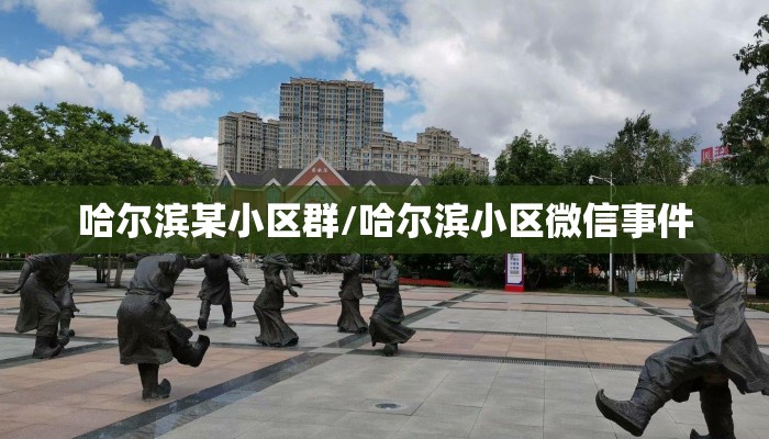哈尔滨某小区群/哈尔滨小区微信事件