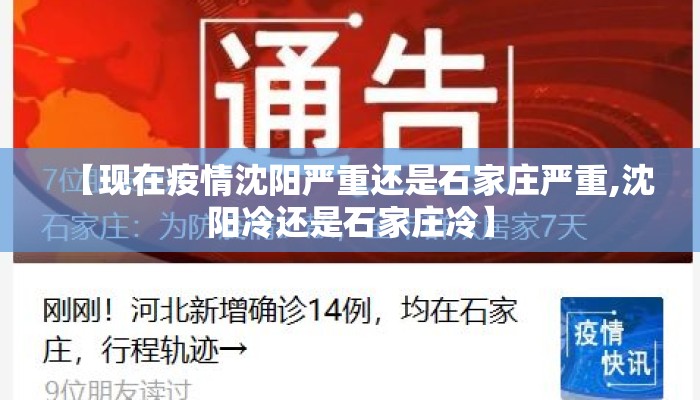 【现在疫情沈阳严重还是石家庄严重,沈阳冷还是石家庄冷】