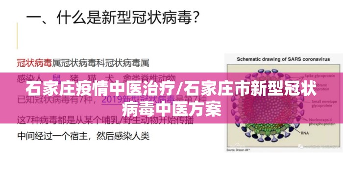 石家庄疫情中医治疗/石家庄市新型冠状病毒中医方案