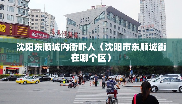 沈阳东顺城内街吓人（沈阳市东顺城街在哪个区）