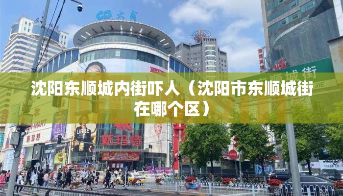沈阳东顺城内街吓人（沈阳市东顺城街在哪个区）