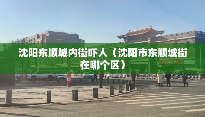 沈阳东顺城内街吓人（沈阳市东顺城街在哪个区）