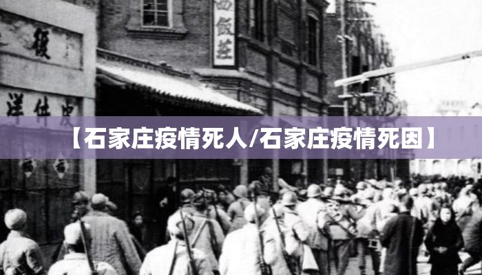 【石家庄疫情死人/石家庄疫情死因】
