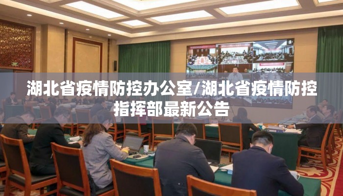 湖北省疫情防控办公室/湖北省疫情防控指挥部最新公告