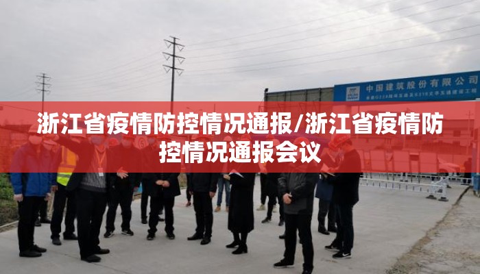 浙江省疫情防控情况通报/浙江省疫情防控情况通报会议