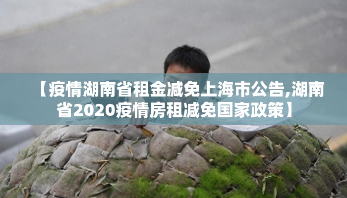 【疫情湖南省租金减免上海市公告,湖南省2020疫情房租减免国家政策】