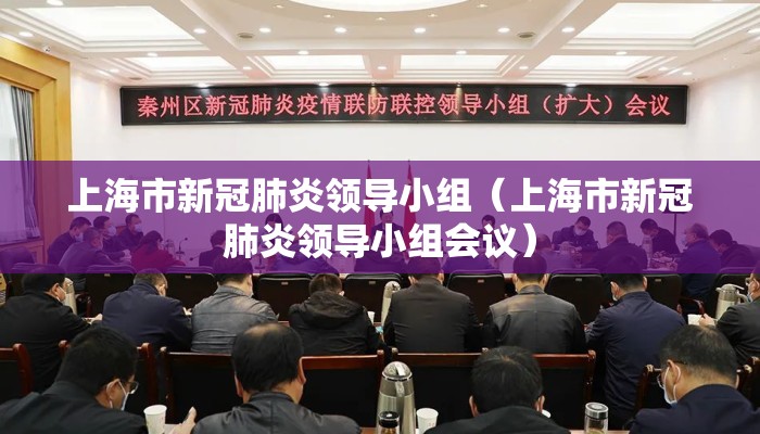 上海市新冠肺炎领导小组（上海市新冠肺炎领导小组会议）