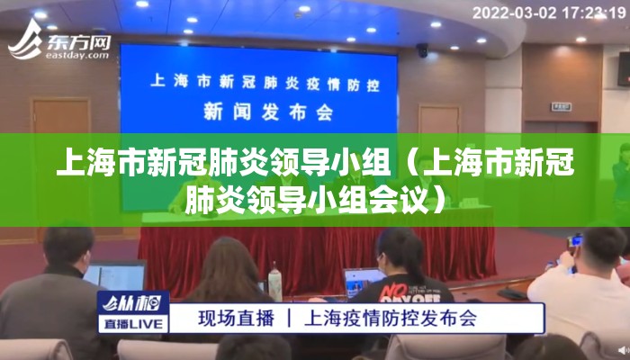 上海市新冠肺炎领导小组（上海市新冠肺炎领导小组会议）