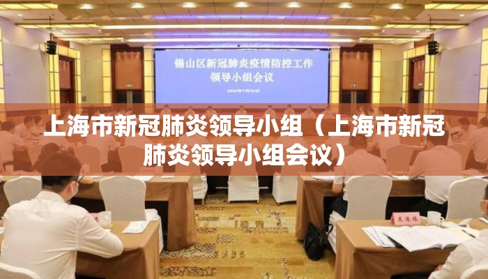 上海市新冠肺炎领导小组（上海市新冠肺炎领导小组会议）