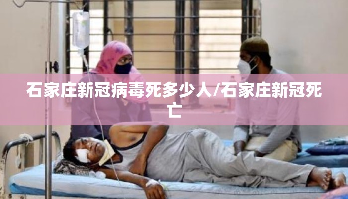 石家庄新冠病毒死多少人/石家庄新冠死亡