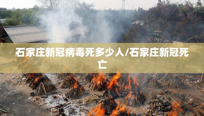 石家庄新冠病毒死多少人/石家庄新冠死亡